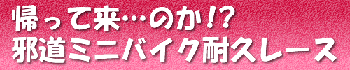 ミニバイク耐久レース