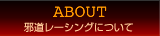 邪道レーシングについて